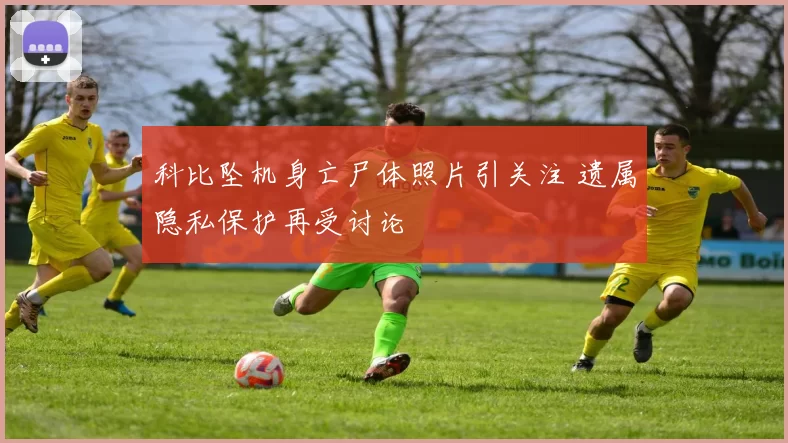 科比坠机身亡尸体照片引关注 遗属隐私保护再受讨论