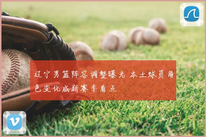 辽宁男篮阵容调整曝光 本土球员角色变化成新赛季看点