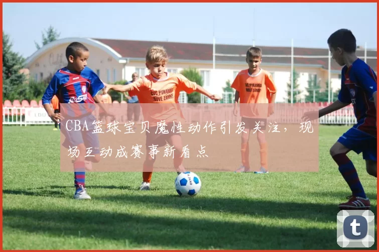 CBA篮球宝贝魔性动作引发关注，现场互动成赛事新看点