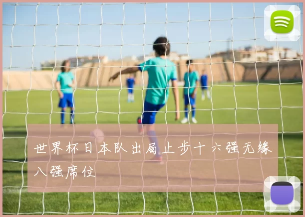 世界杯日本队出局止步十六强无缘八强席位