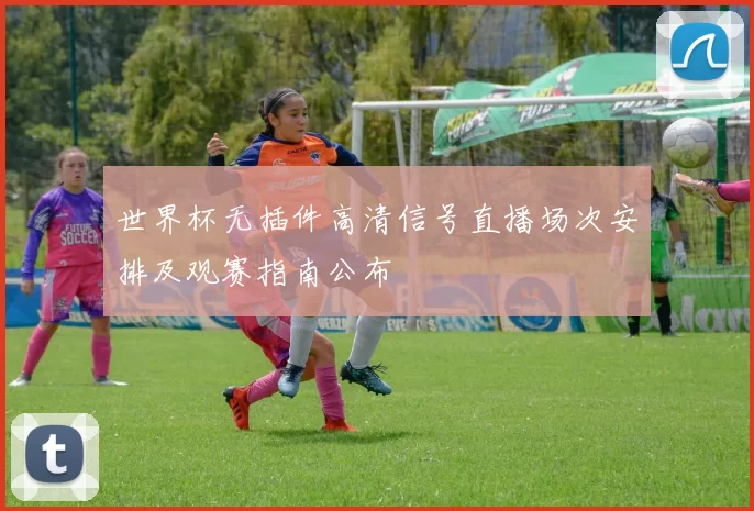 世界杯无插件高清信号直播场次安排及观赛指南公布